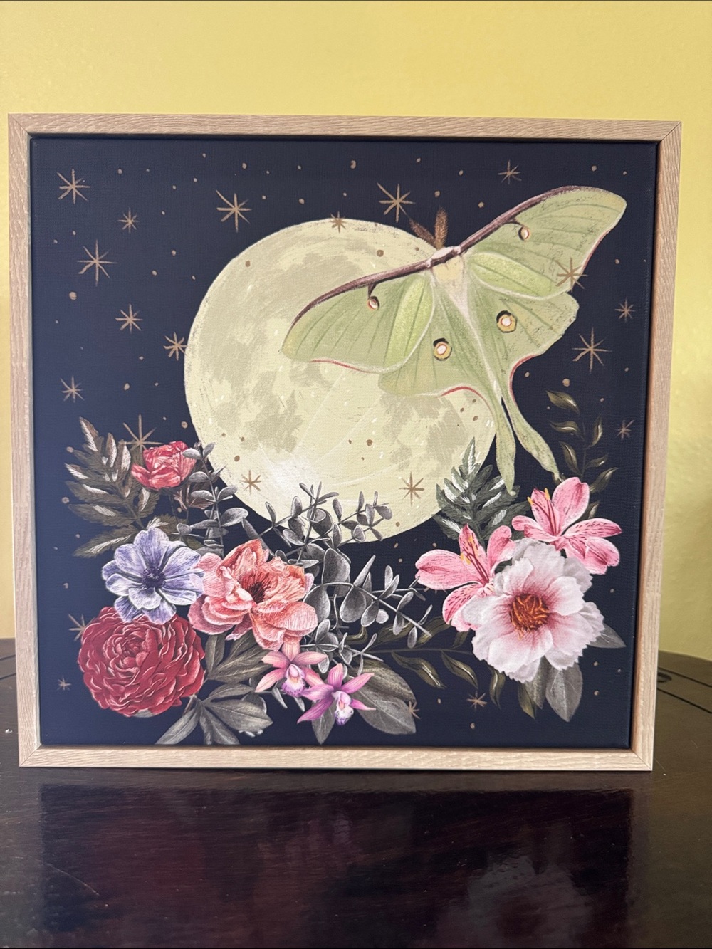 Luna Moth Floral Moon Wall Art - Green, Pink, Red